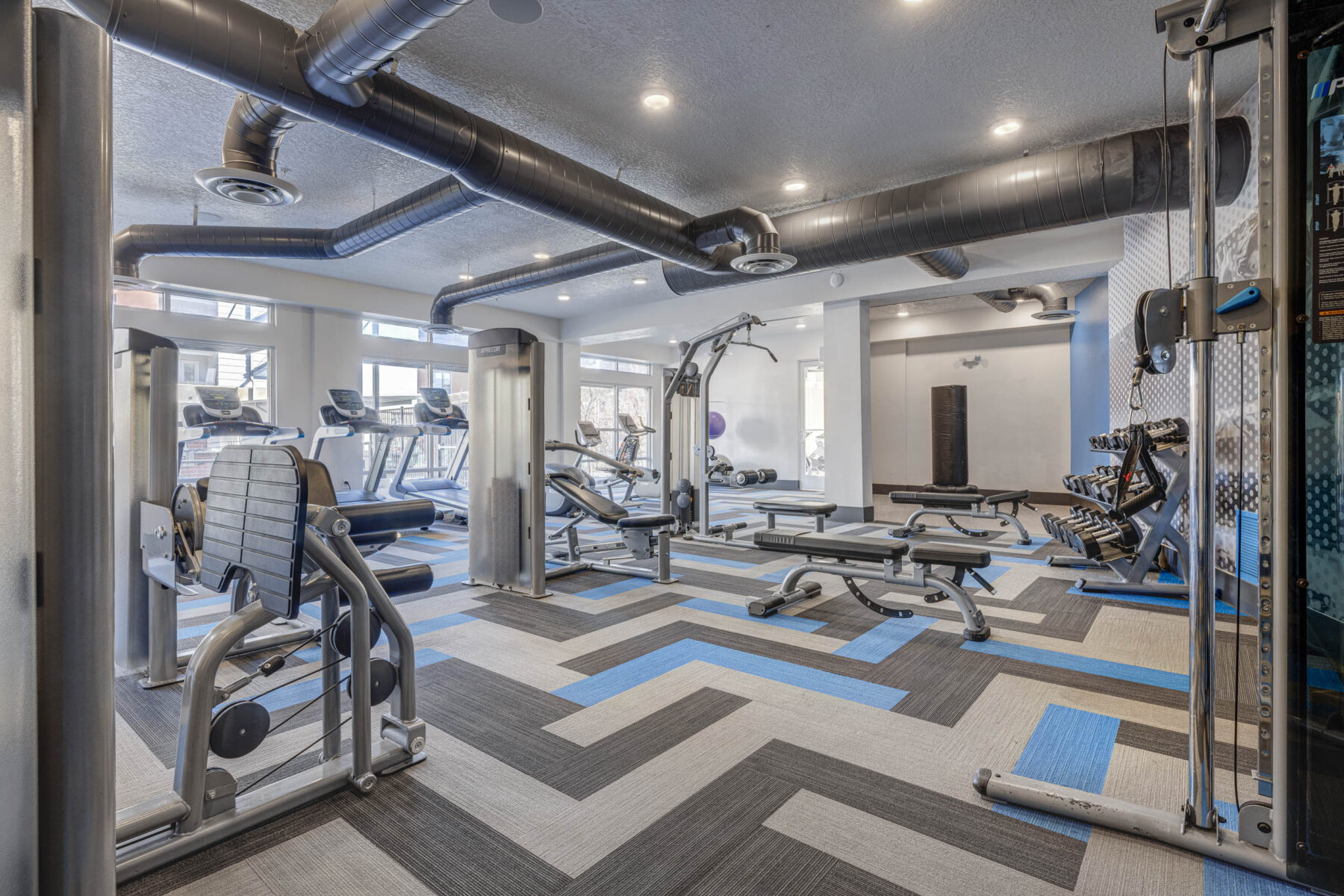 Fitness center with strength training machines and cardio equipment